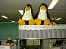 PINGUINE128.JPG